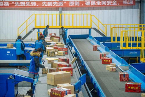 中通服務現(xiàn)代農(nóng)業(yè),快遞助力農(nóng)民豐收