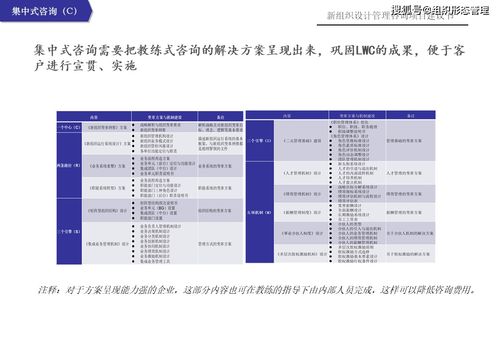 新組織設(shè)計(jì)管理咨詢項(xiàng)目建議書(shū)