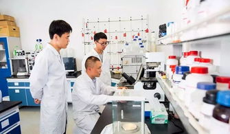 中國(guó)制造業(yè)第一縣聚力互聯(lián)網(wǎng)銷(xiāo)售轉(zhuǎn)型，新華日?qǐng)?bào)頭版頭條聚焦產(chǎn)業(yè)升級(jí)新篇章