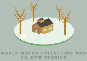 楓樹(shù)汁進(jìn)口全鏈路解析 從海外源頭到互聯(lián)網(wǎng)終端的成功之道